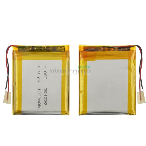АКБ універсальна 504050 (47*40*5 1000mAh 3,7V) для навігаторів, відеокамер, GPS, Bluetooth колонок
