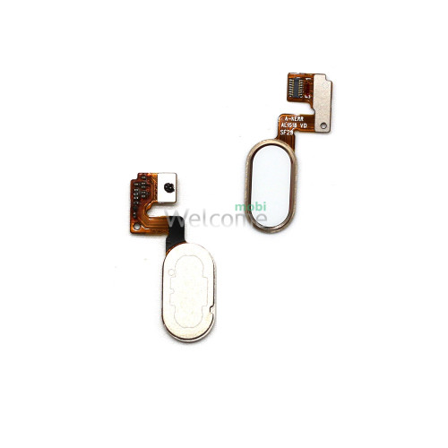 Шлейф Meizu M3 Note L681H (14pin) з кнопкою меню (Home) gold