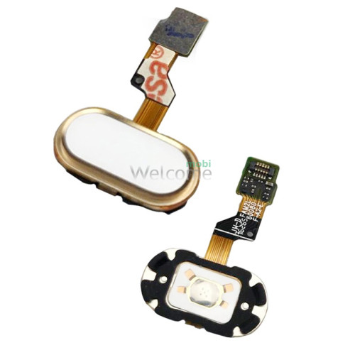 Шлейф Meizu M3S/M3S mini/U10 з кнопкою меню (Home) gold (JW-D 16296 15мм)